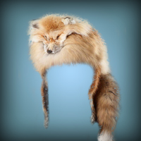 Шлем Wild Fox